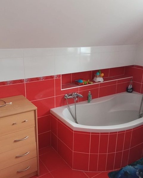 Šardice: stav před rekonstrukcí (2)